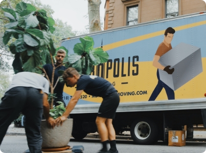 Movingque's Expertise in International Moves