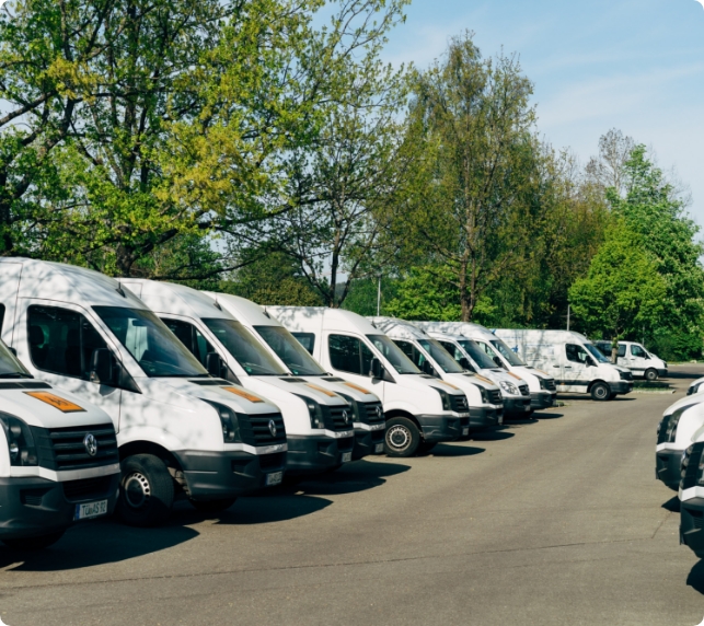 International moving services